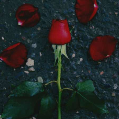 Lyas Khedmat – Age Raftam